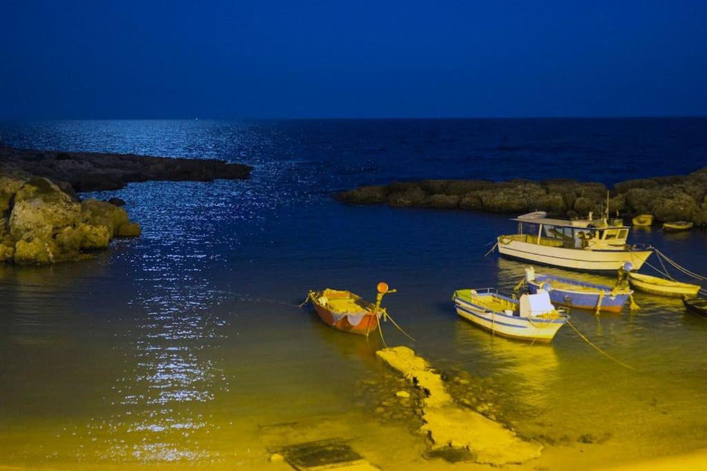 Villa Ada ليبورانو المظهر الخارجي الصورة